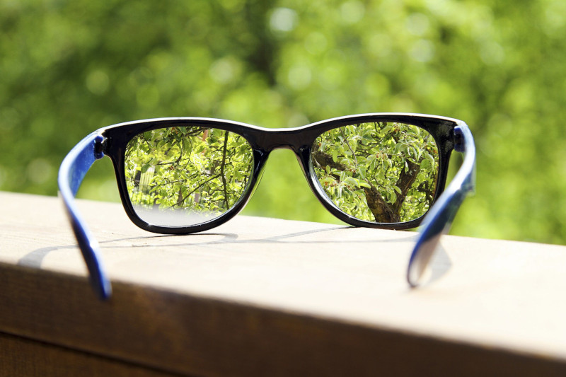 Eyeglasses showing a clear forest view through the lenses.